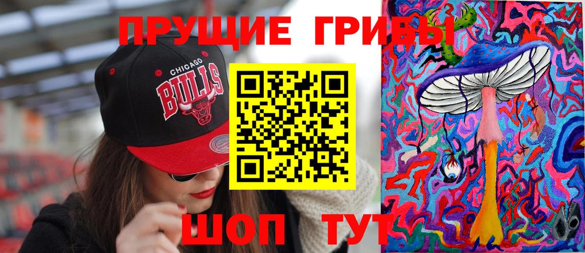 Псилоцибиновые грибы Cubensis  Вход с VPN  Псилоцибиновые грибы прущие грибы  Когалым 